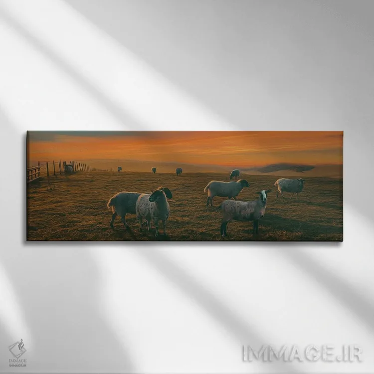 تابلو چراگاه مزرعه گوسفند اثر ایوجنیا بیدیوک - نمای روبهرو روی دیوار