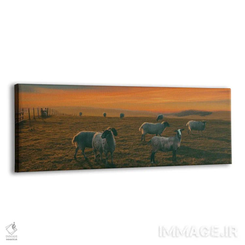تابلو چراگاه مزرعه گوسفند اثر ایوجنیا بیدیوک - نمای پرسپکتیو محصول