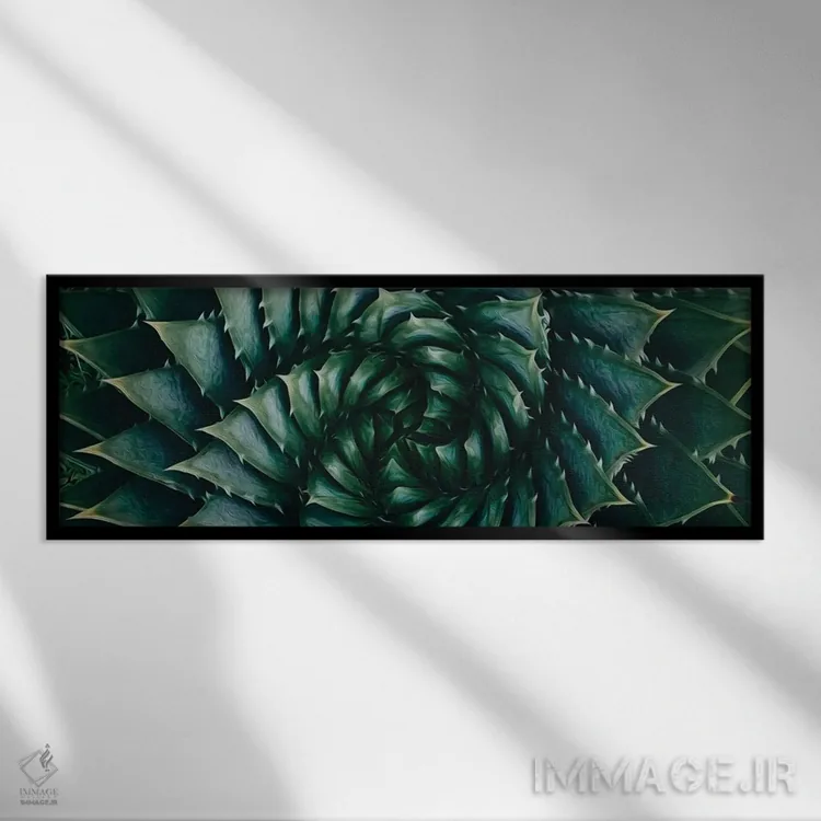 تابلو نمای نزدیک آلوئه آریستاتا اثر ایوجنیا بیدیوک - نمای قابدار مشکی
