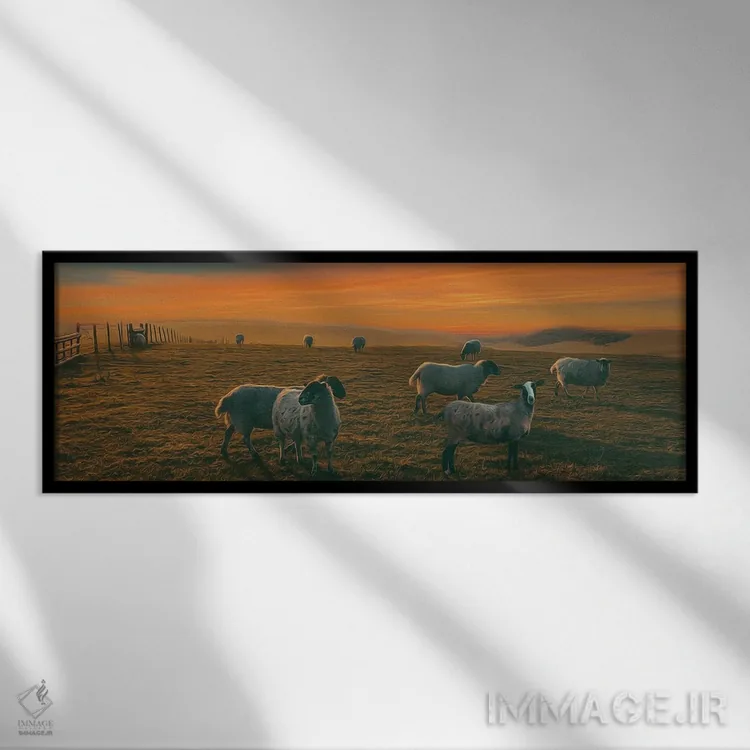تابلو چراگاه مزرعه گوسفند اثر ایوجنیا بیدیوک - نمای قابدار مشکی