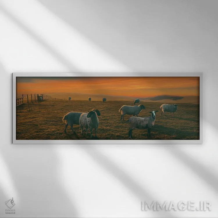 تابلو چراگاه مزرعه گوسفند اثر ایوجنیا بیدیوک - نمای قابدار سفید