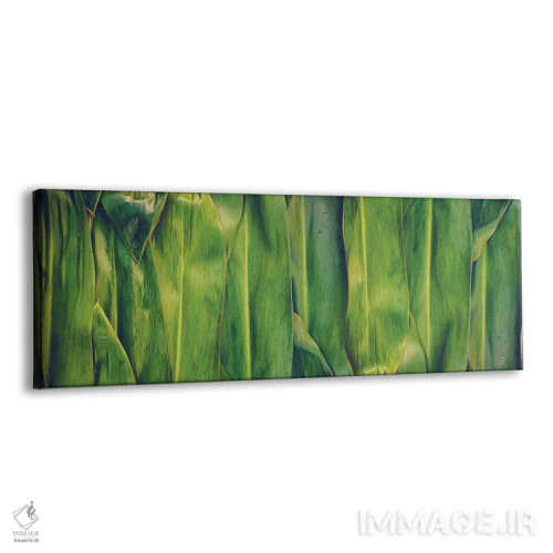 تابلو پسزمینهٔ برگ موز با طیف سبز-زرد اثر ایوجنیا بیدیوک - نمای پرسپکتیو محصول