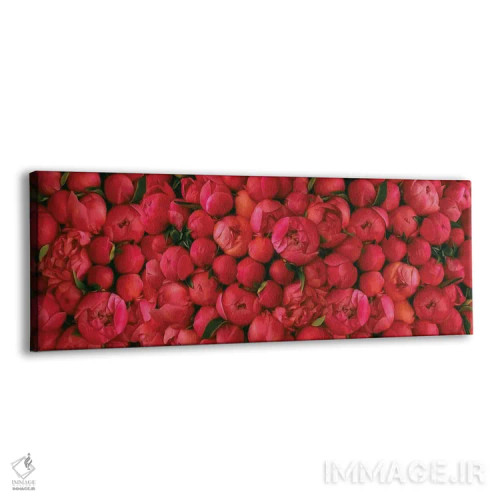 تابلو پسزمینه وسیع با گلهای صدتومانی قرمز اثر ایوجنیا بیدیوک - نمای پرسپکتیو محصول