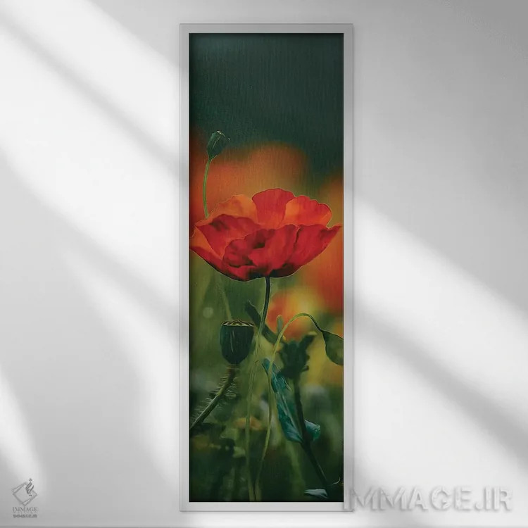 تابلو شکوفه شقایق اثر ایوجنیا بیدیوک - نمای قابدار سفید