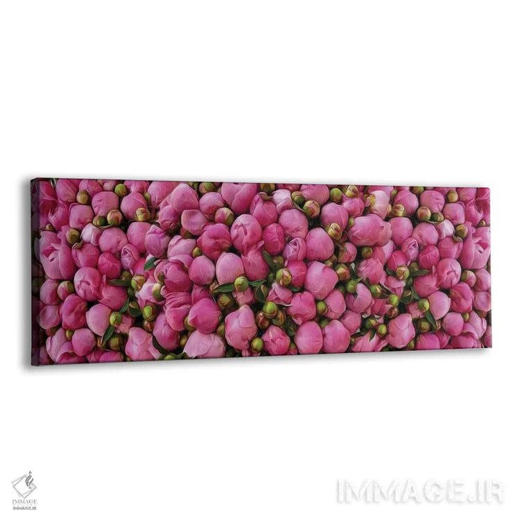 تابلو غنچههای صدتومانی صورتی اثر ایوجنیا بیدیوک - نمای پرسپکتیو محصول