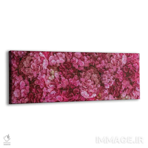 تابلو پسزمینهای با گلهای شکوفا شده ادریسی صورتی اثر ایوجنیا بیدیوک - نمای پرسپکتیو محصول