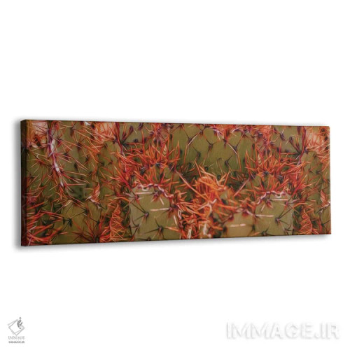 تابلو خارهای نارنجی کاکتوس مکزیکی اثر ایوجنیا بیدیوک - نمای پرسپکتیو محصول