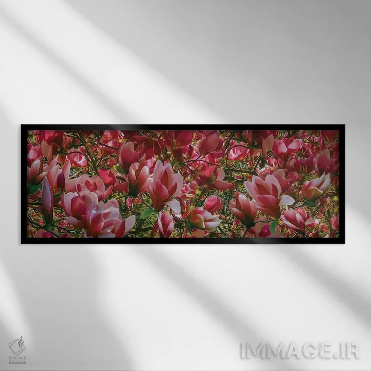 تابلو پسزمینه گل مگنولیای صورتی شکوفا اثر ایوجنیا بیدیوک - نمای قابدار مشکی