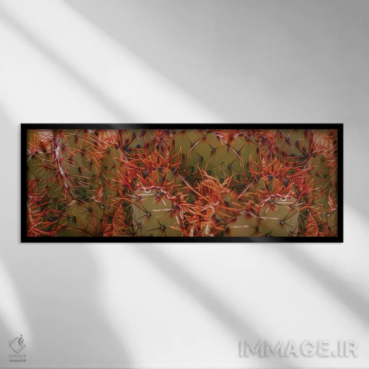 تابلو خارهای نارنجی کاکتوس مکزیکی اثر ایوجنیا بیدیوک - نمای قابدار مشکی