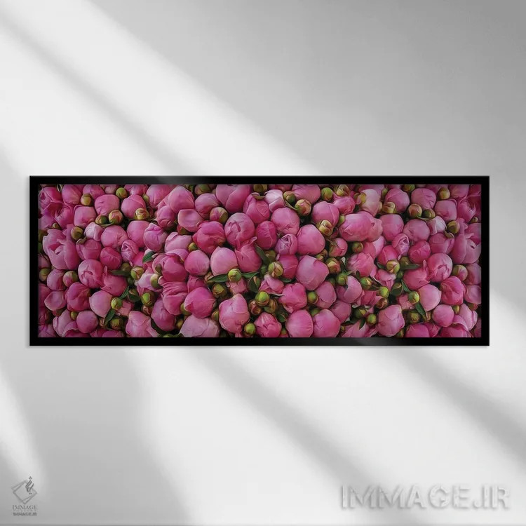 تابلو غنچههای صدتومانی صورتی اثر ایوجنیا بیدیوک - نمای قابدار مشکی