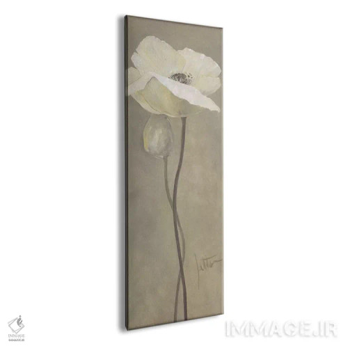 تابلو شقایق سفید ۴ اثر جتی روزبوم - نمای پرسپکتیو محصول
