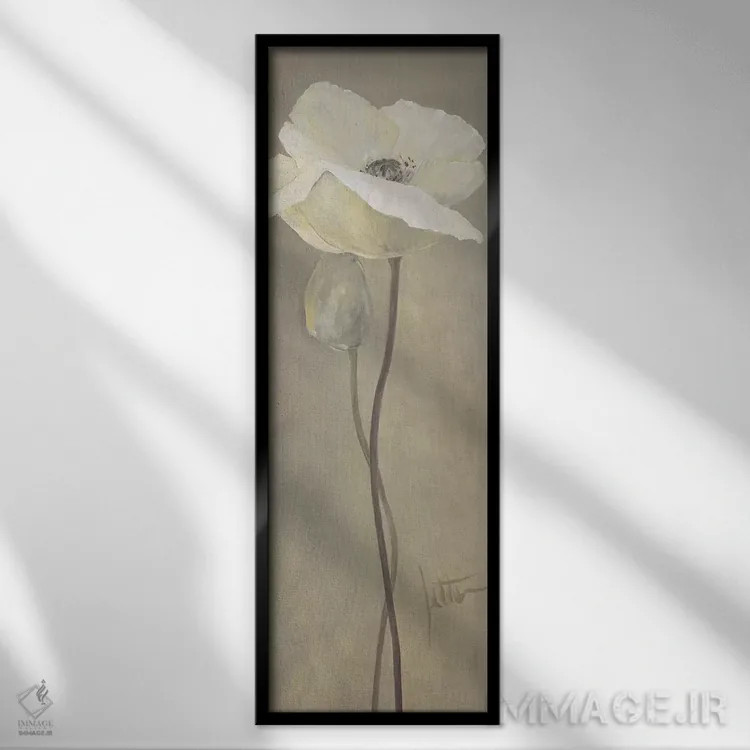 تابلو شقایق سفید ۴ اثر جتی روزبوم - نمای قابدار مشکی