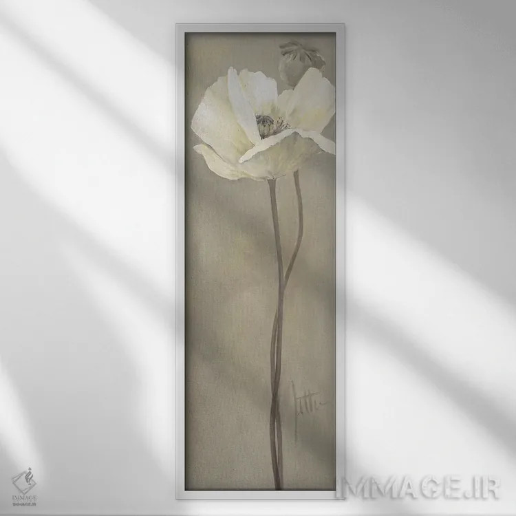 تابلو شقایق سفید ۵ اثر جتی روزبوم - نمای قابدار سفید