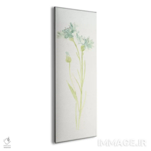 تابلو مطالعه گل ذرت ۱ اثر جون اریکا وس - نمای پرسپکتیو محصول