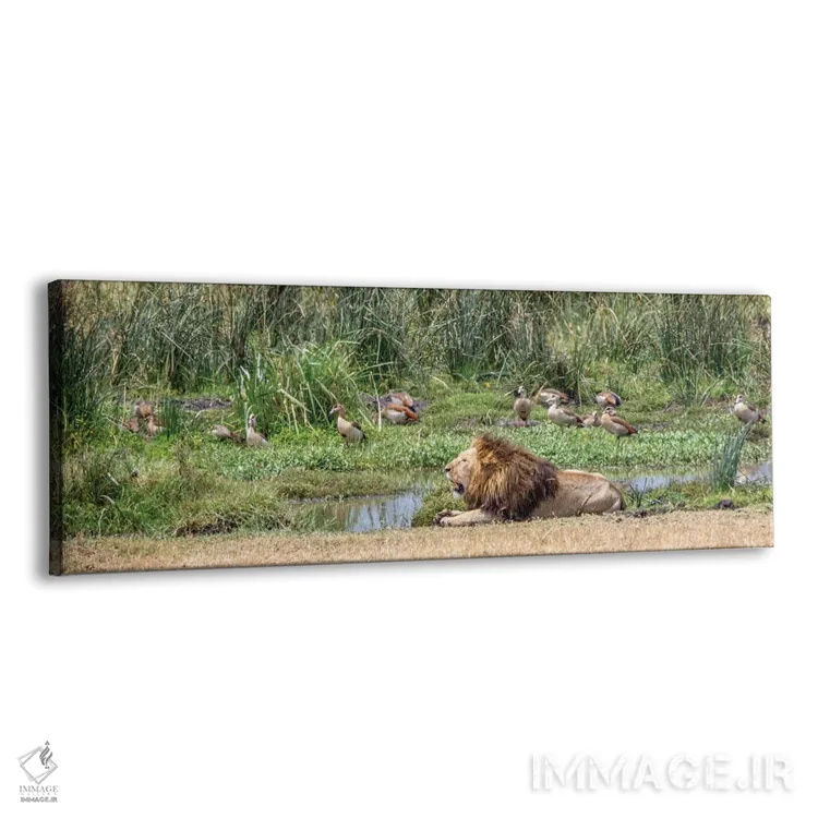 تابلو زَند شیر (زند به معنای اتاق زیرشیروانی) اثر جنت فیکار - نمای پرسپکتیو محصول