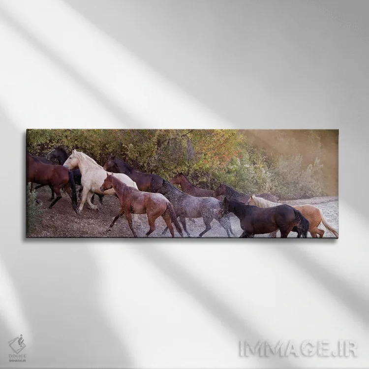 تابلو عبور اثر جنت فیکار - نمای روبهرو روی دیوار