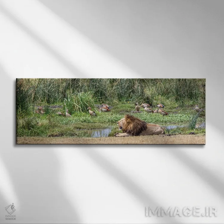 تابلو زَند شیر (زند به معنای اتاق زیرشیروانی) اثر جنت فیکار - نمای روبهرو روی دیوار