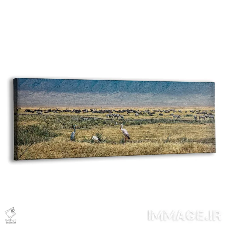 تابلو چشمانداز پانورامای آفریقا اثر جنت فیکار - نمای پرسپکتیو محصول