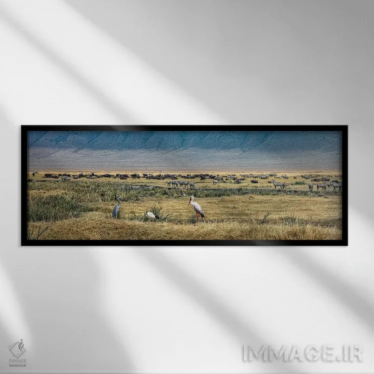 تابلو چشمانداز پانورامای آفریقا اثر جنت فیکار - نمای قابدار مشکی