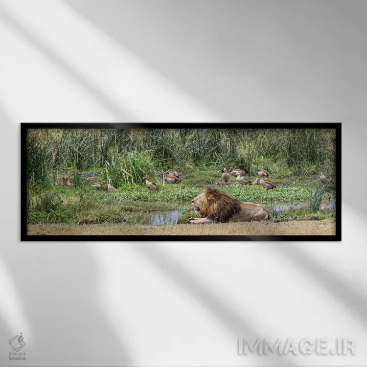 تابلو زَند شیر (زند به معنای اتاق زیرشیروانی) اثر جنت فیکار - نمای قابدار مشکی