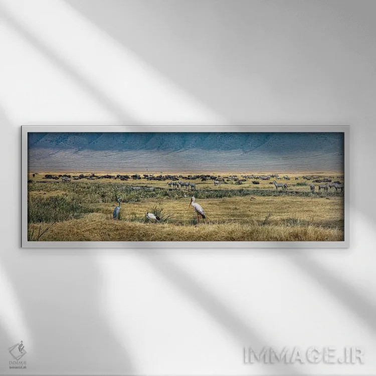 تابلو چشمانداز پانورامای آفریقا اثر جنت فیکار - نمای قابدار سفید