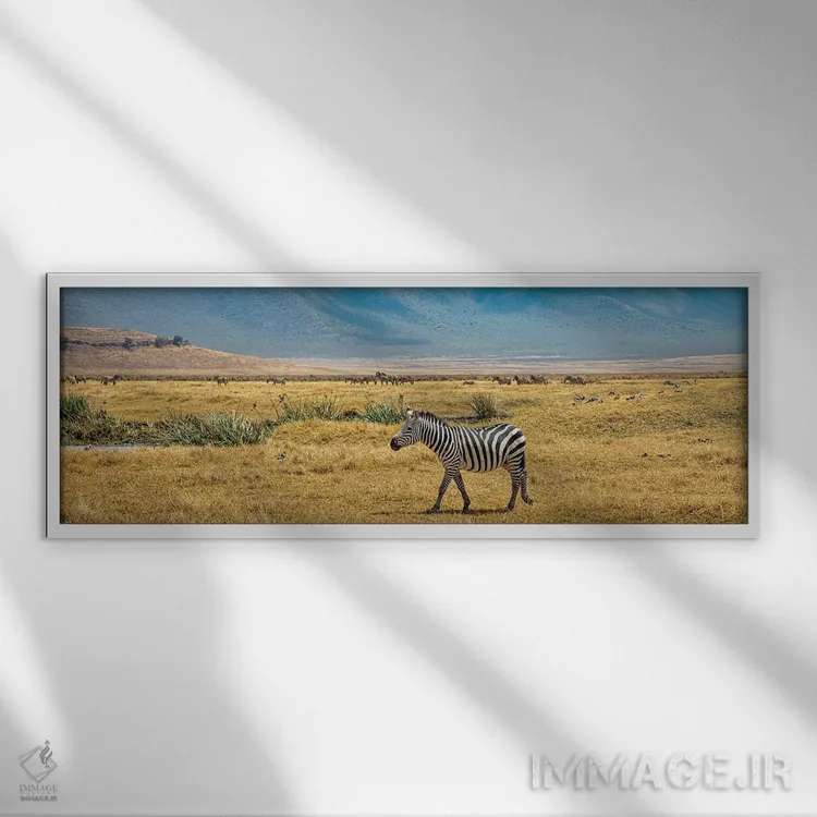 تابلو گلهام کجاست؟ اثر جنت فیکار - نمای قابدار سفید