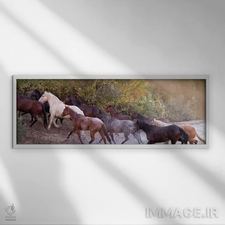 تابلو عبور اثر جنت فیکار - نمای قابدار سفید