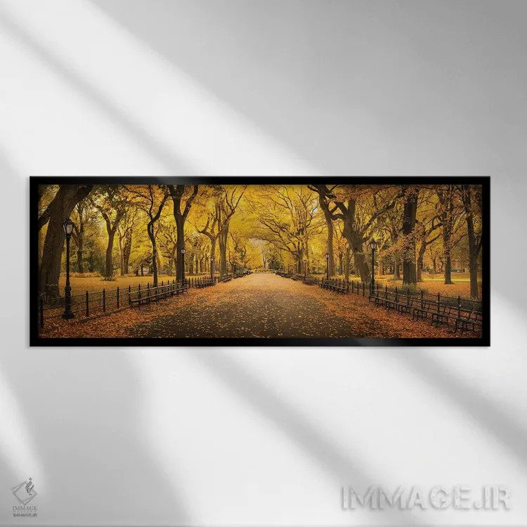 تابلو خیابان مرکزی در سنترال پارک (نیویورک) اثر یان بکه - نمای قابدار مشکی