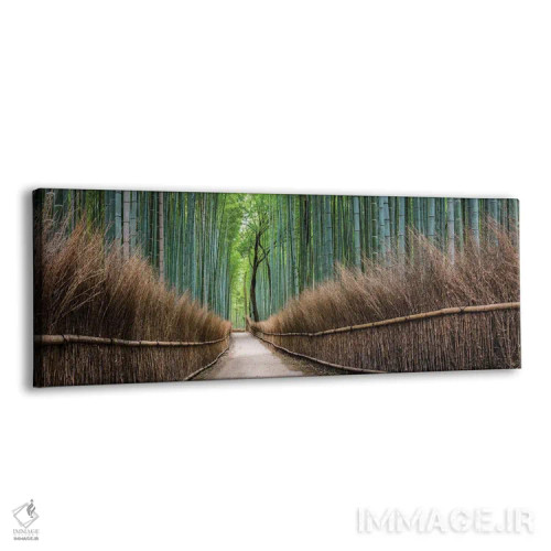 تابلو Kyoto, Japan,نمای پانورامیک جنگل بامبو آراشییاما، کیوتو، ژاپن اثر یان بکه - نمای پرسپکتیو محصول