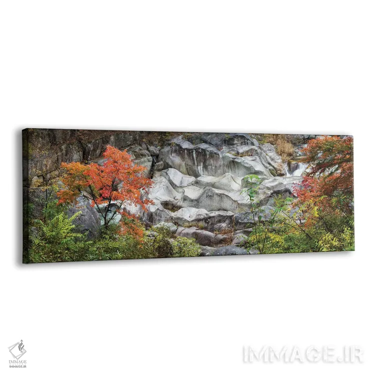تابلو Yamanashi Prefecture, Japan,پارک ملی دره شوسنکیو، استان یاماناشی، ژاپن اثر یان بکه - نمای پرسپکتیو محصول