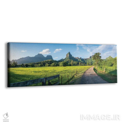 تابلو Moorea Island, French Polynesia,نمای پانوراما از کوه توهیوئا هنگام طلوع، جزیره مورئا، پلینزی فرانسه اثر یان بکه - نمای پرسپکتیو محصول