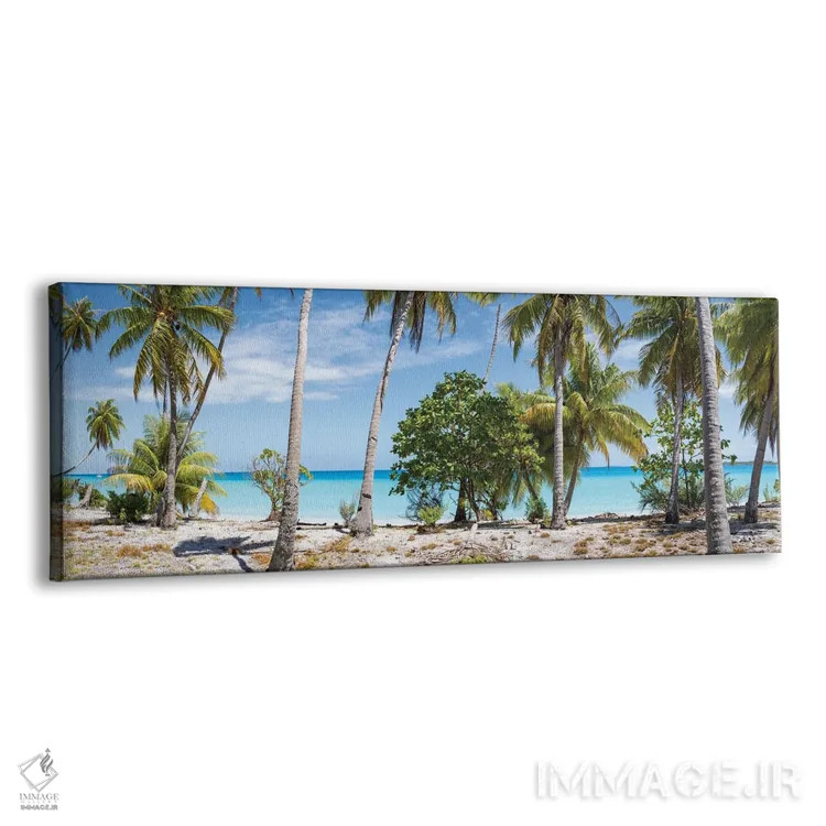 تابلو Maldives,نمای پانوراما از درختان نخل در ساحل، مالدیو اثر یان بکه - نمای پرسپکتیو محصول