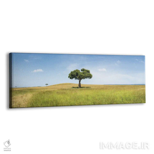 تابلو Kenya, Africa,درخت آکاسیا تنها در ماسایی مارا، کنیا، آفریقا اثر یان بکه - نمای پرسپکتیو محصول