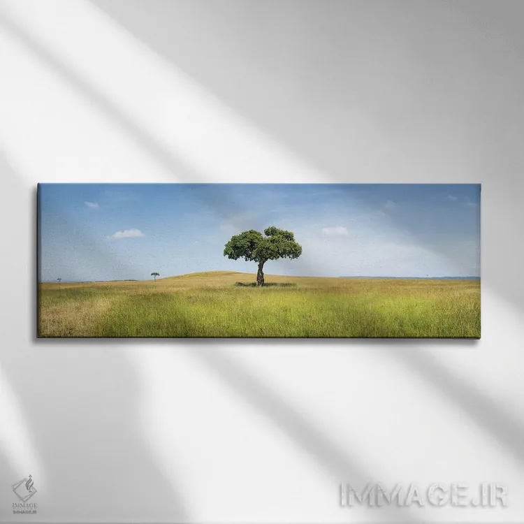 تابلو Kenya, Africa,درخت آکاسیا تنها در ماسایی مارا، کنیا، آفریقا اثر یان بکه - نمای روبهرو روی دیوار