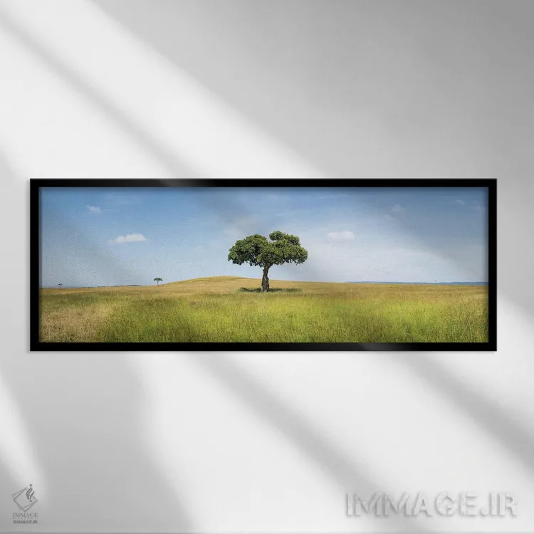 تابلو Kenya, Africa,درخت آکاسیا تنها در ماسایی مارا، کنیا، آفریقا اثر یان بکه - نمای قابدار مشکی