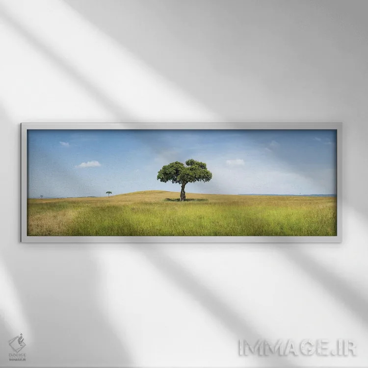 تابلو Kenya, Africa,درخت آکاسیا تنها در ماسایی مارا، کنیا، آفریقا اثر یان بکه - نمای قابدار سفید