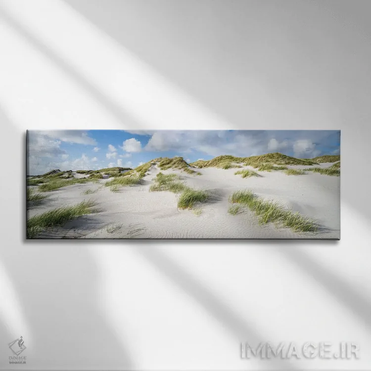 تابلو پانورامای منظره تپههای شنی با علفهای ساحلی اثر یان بکه - نمای روبهرو روی دیوار