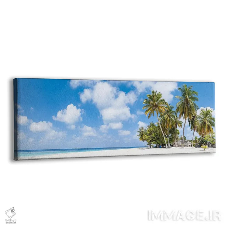تابلو Maldives,پانورامای ساحل گرمسیری با درختان نخل، مالدیو اثر یان بکه - نمای پرسپکتیو محصول