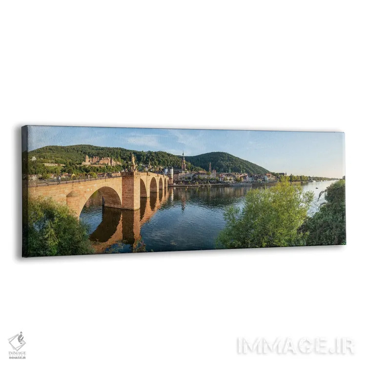 تابلو Baden-Württemberg, Germany,پانورامای شهر هایدلبرگ در تابستان، بادن-وورتمبرگ، آلمان اثر یان بکه - نمای پرسپکتیو محصول