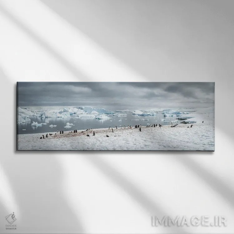 تابلو Antarctic Peninsula,کلونی پنگوئن جنتو در جنوبگان، شبهجزیره جنوبگان اثر یان بکه - نمای روبهرو روی دیوار