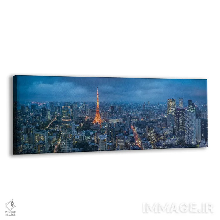 تابلو Japan,پانورامای افق شهر توکیو در شب با برج توکیو، ژاپن اثر یان بکه - نمای پرسپکتیو محصول