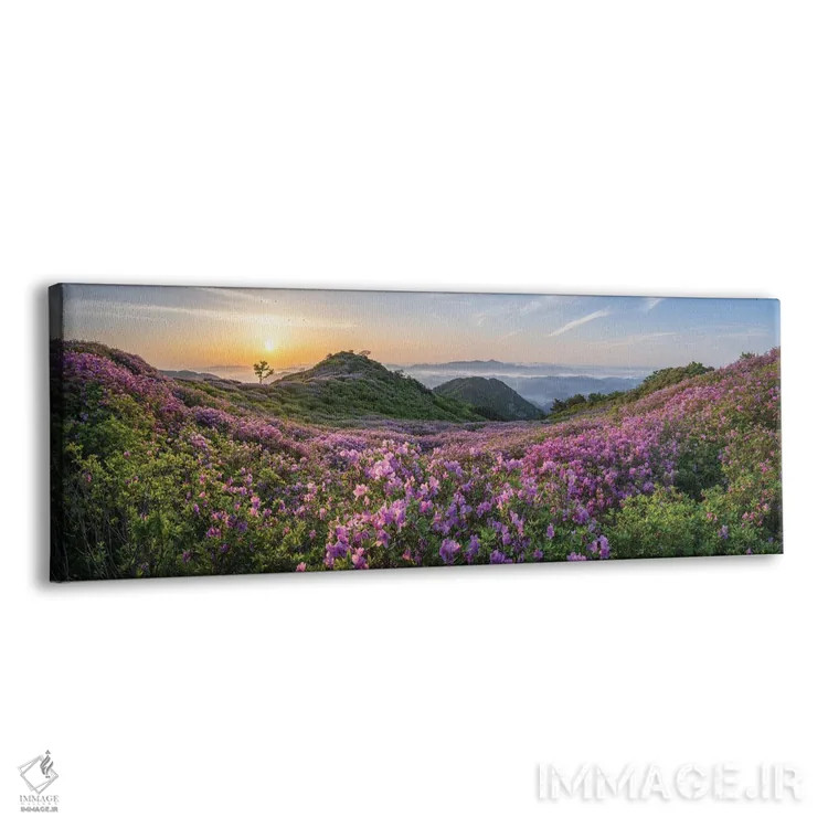 تابلو Hapcheon, South Korea,پانورامای کوه هوانگماسان هنگام طلوع با گلهای کامل شکوفهی آزالیا بنفش، هپچئون، کره جنوبی اثر یان بکه - نمای پرسپکتیو محصول