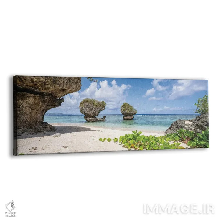 تابلو Guam,پانورامای ساحل هیلاآن با سنگهای قارچی، گوام اثر یان بکه - نمای پرسپکتیو محصول