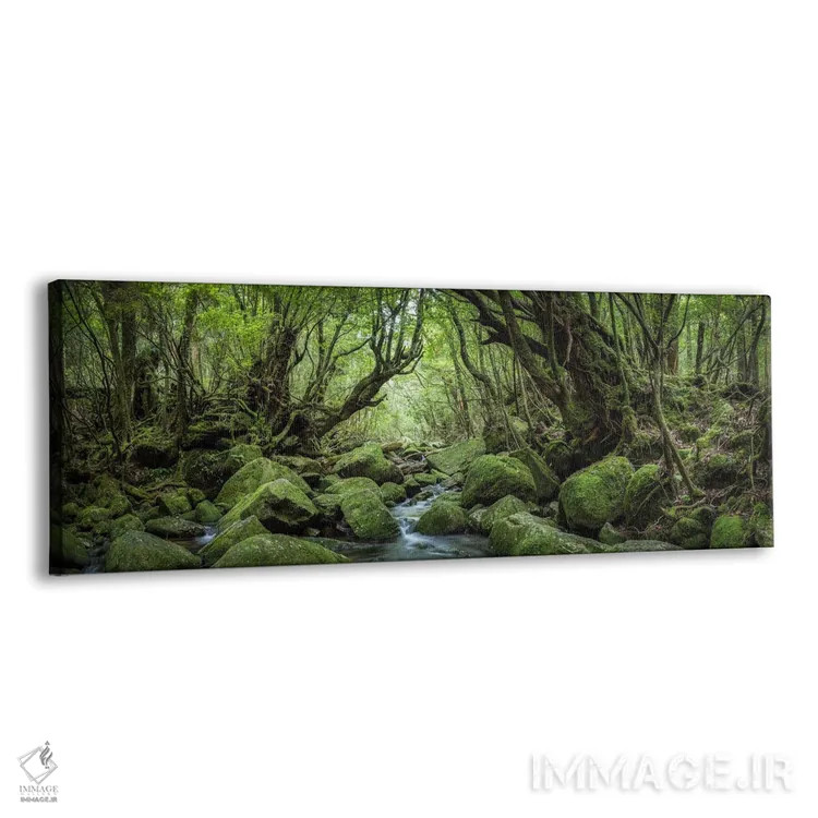 تابلو پانورامای جنگل رازآلود با خزه سبز و جوی جنگلی اثر یان بکه - نمای پرسپکتیو محصول
