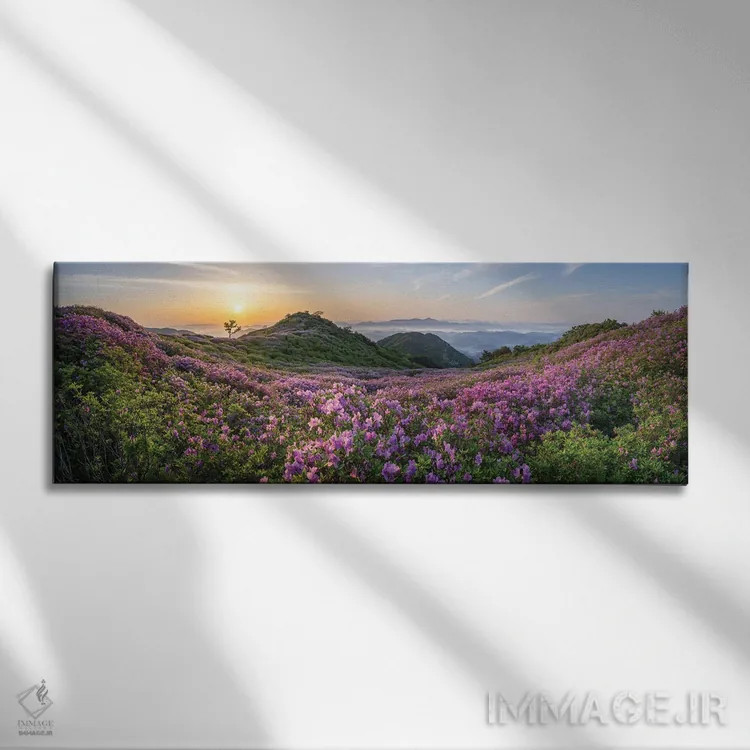 تابلو Hapcheon, South Korea,پانورامای کوه هوانگماسان هنگام طلوع با گلهای کامل شکوفهی آزالیا بنفش، هپچئون، کره جنوبی اثر یان بکه - نمای روبهرو روی دیوار