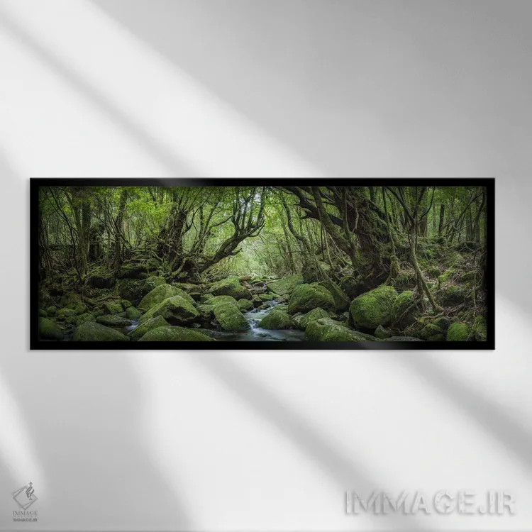 تابلو پانورامای جنگل رازآلود با خزه سبز و جوی جنگلی اثر یان بکه - نمای قابدار مشکی