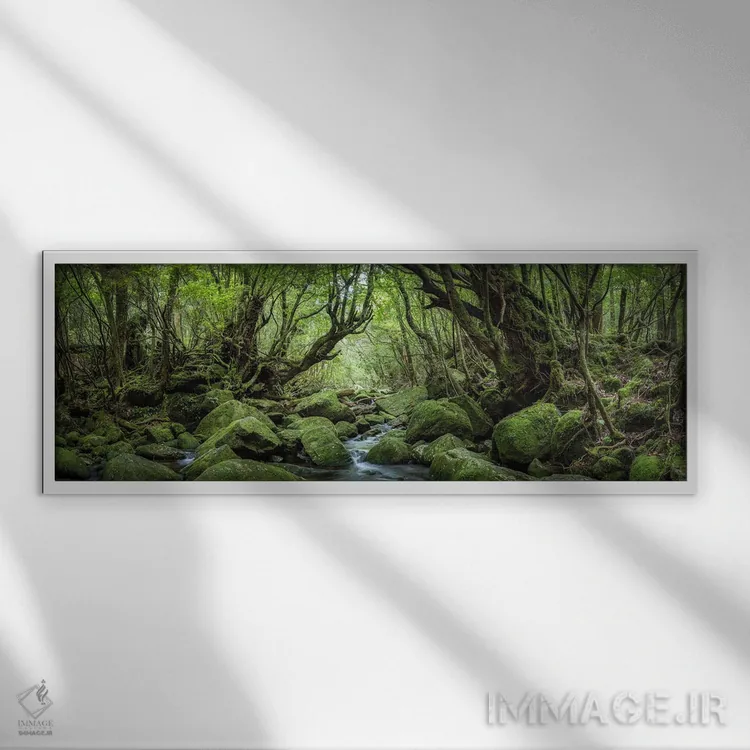 تابلو پانورامای جنگل رازآلود با خزه سبز و جوی جنگلی اثر یان بکه - نمای قابدار سفید