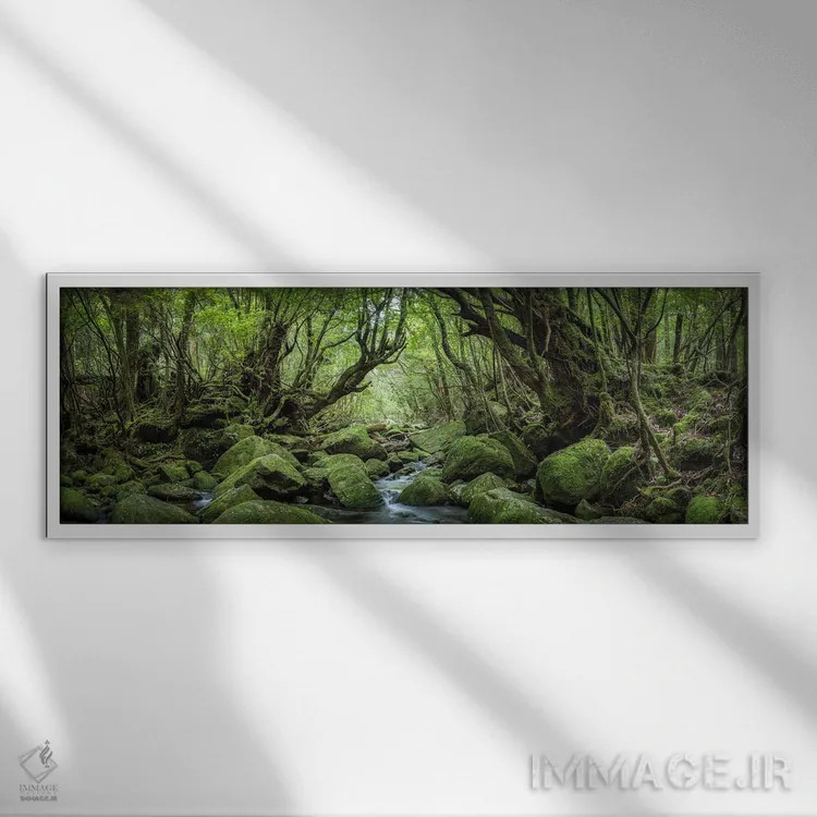 تابلو پانورامای جنگل رازآلود با خزه سبز و جوی جنگلی اثر یان بکه - نمای قابدار سفید