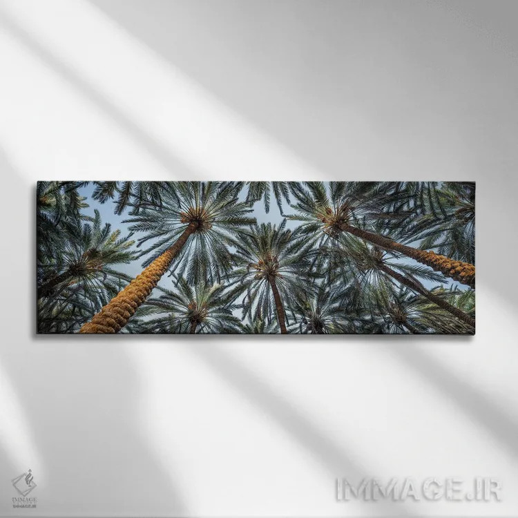 تابلو پانورامای درختان نخل اثر یان بکه - نمای روبهرو روی دیوار