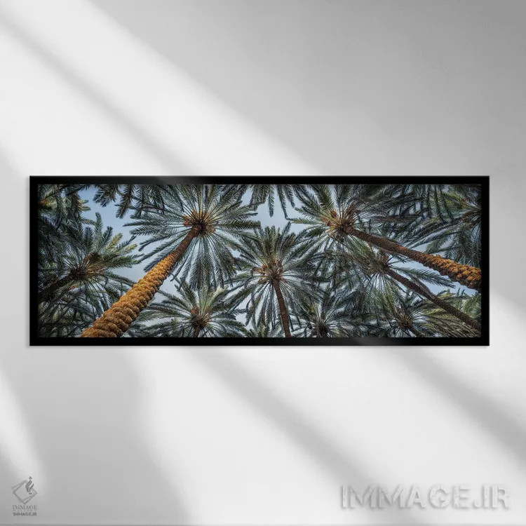 تابلو پانورامای درختان نخل اثر یان بکه - نمای قابدار مشکی